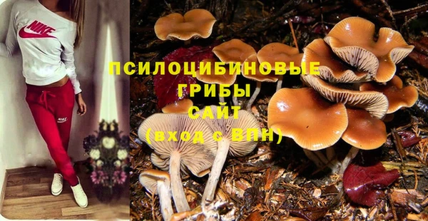 спиды Абдулино
